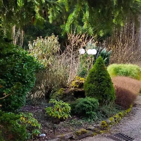 Refugium Klosterhaus Διαμέρισμα Nettersheim